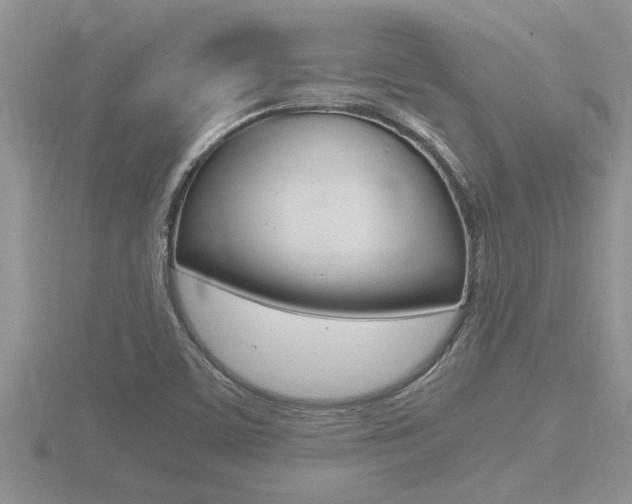 X0000116481459200912090916
