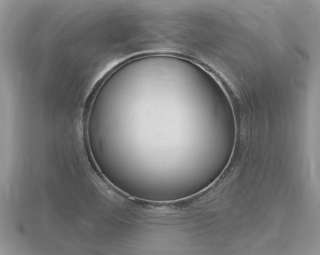 X0000116481460200912090916