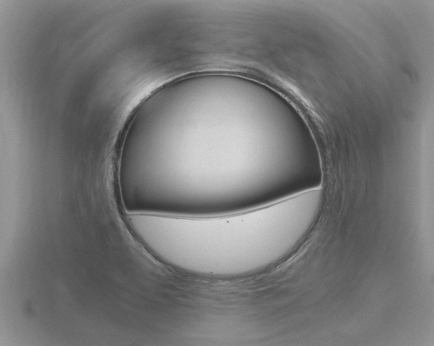 X0000116481463200912090916
