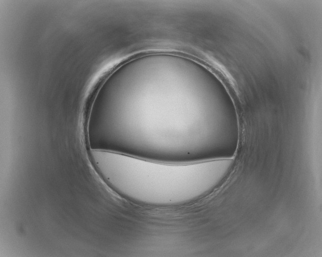 X0000116481464200912090916