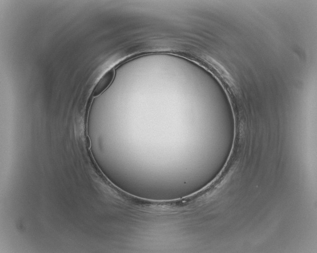 X0000116481465200912090916