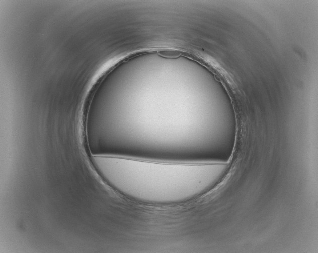 X0000116481469200912090916