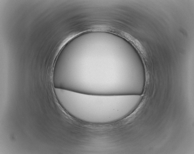 X0000116481473200912090916