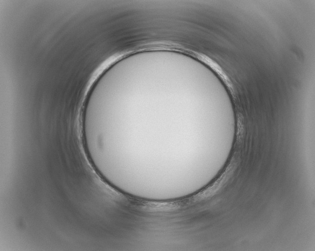 X0000116481474200912090916