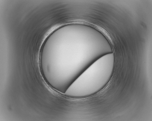 X0000116481482200912090916