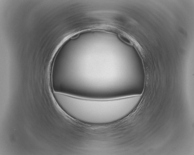 X0000116481483200912090916