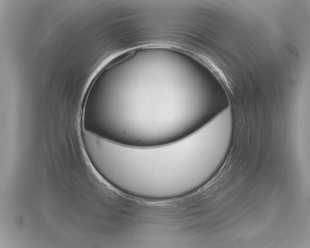 X0000116481484200912090916