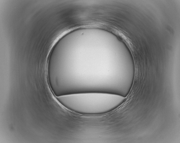X0000116481487200912090916
