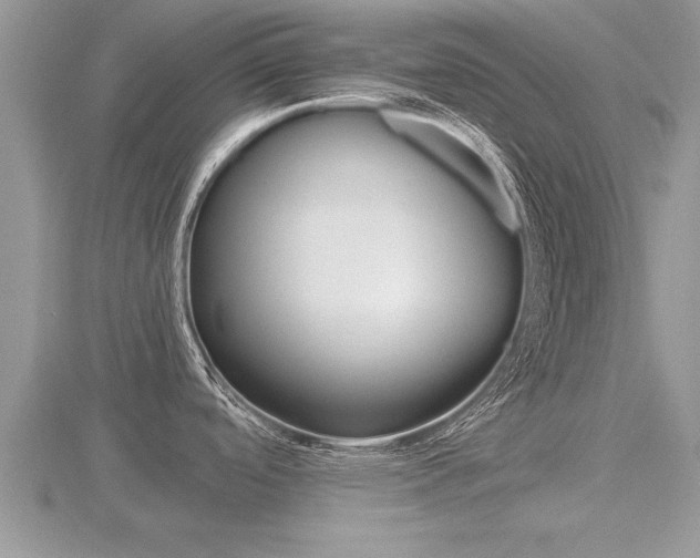 X0000116481488200912090916