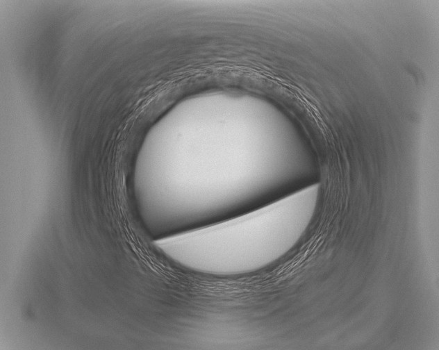 X0000116481489200912090915