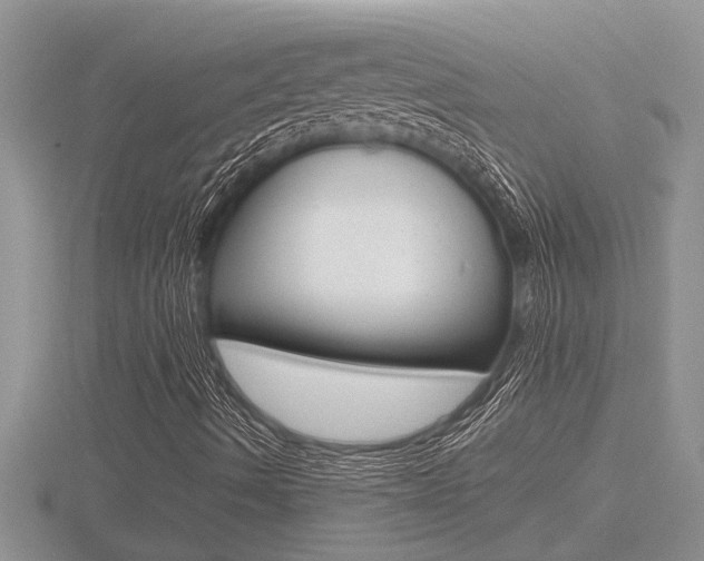 X0000116481490200912090915
