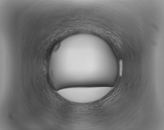 X0000116481491200912090915