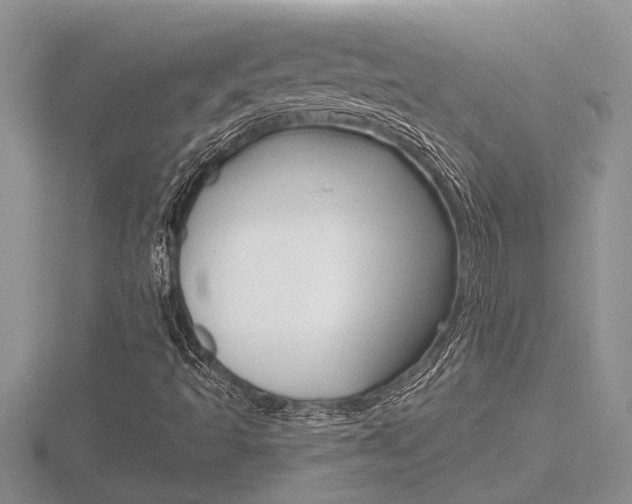 X0000116481493200912090915