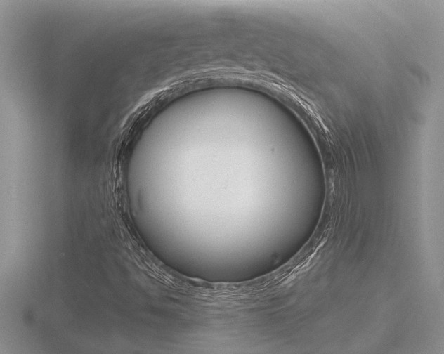 X0000116481494200912090915