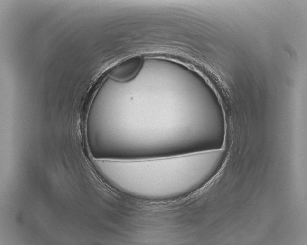 X0000116481497200912090915