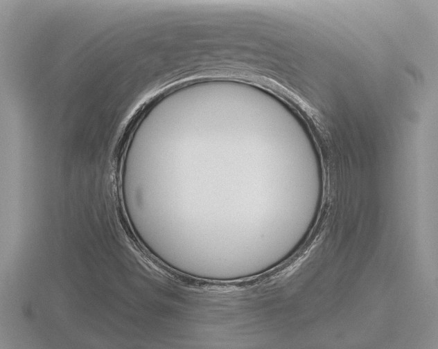 X0000116481498200912090915