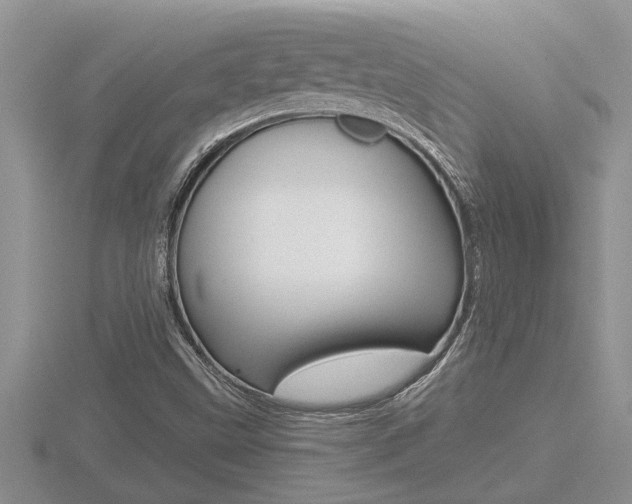 X0000116481499200912090915