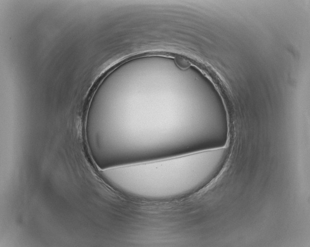 X0000116481505200912090916