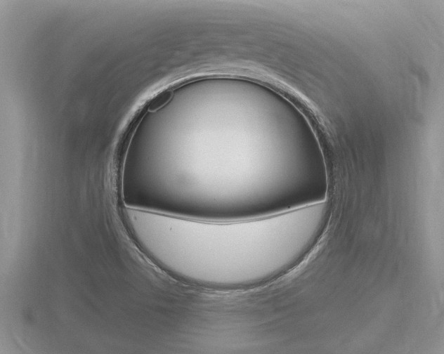 X0000116481506200912090916