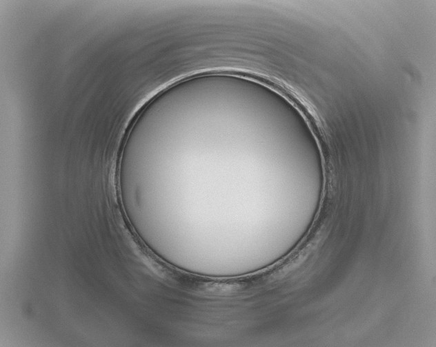 X0000116481513200912090916