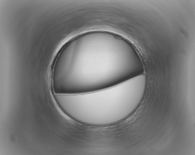 X0000116481519200912090916