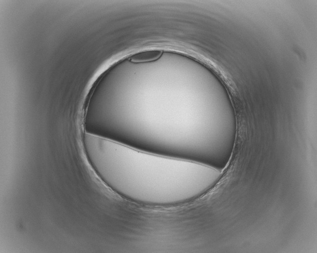 X0000116481522200912090916