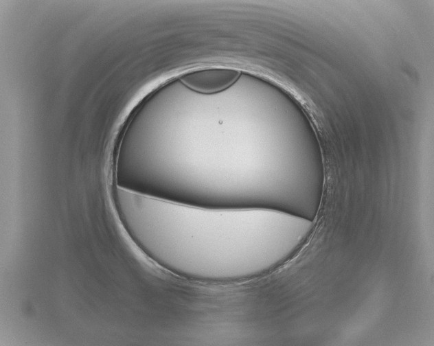 X0000116481523200912090916