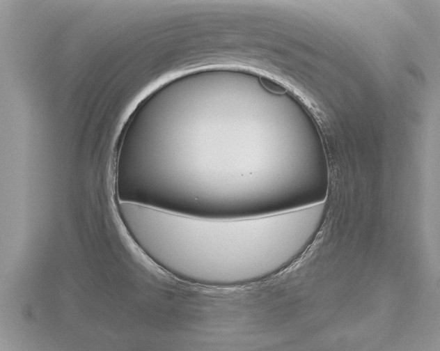 X0000116481526200912090916