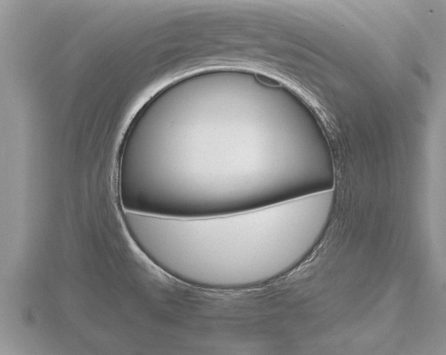 X0000116481527200912090916