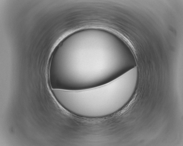 X0000116481533200912090916