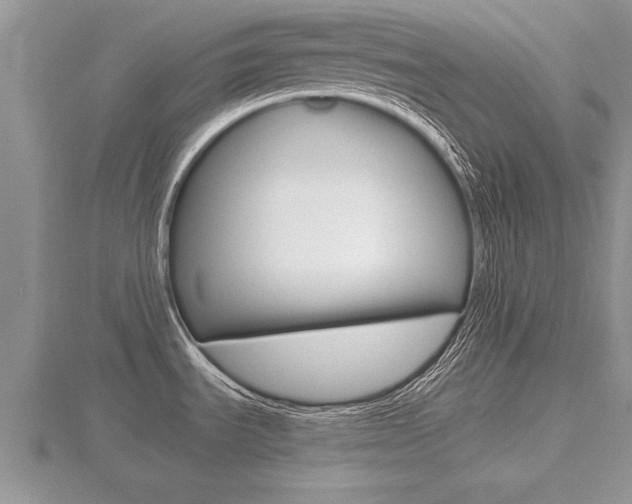 X0000116481535200912090916