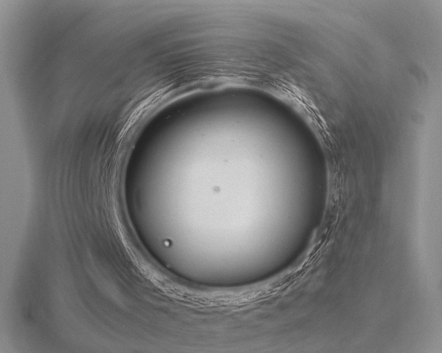 X0000116480001200912091410