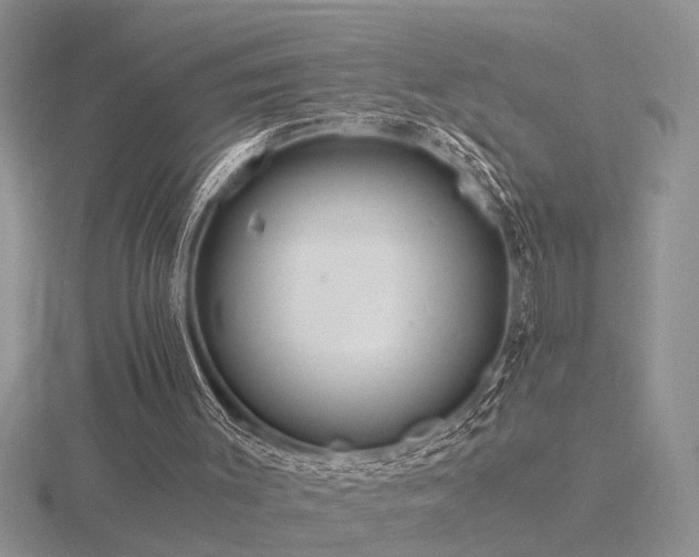 X0000116480003200912091410