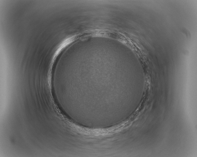 X0000116480006200912091410