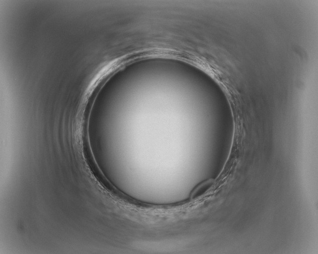 X0000116480007200912091410