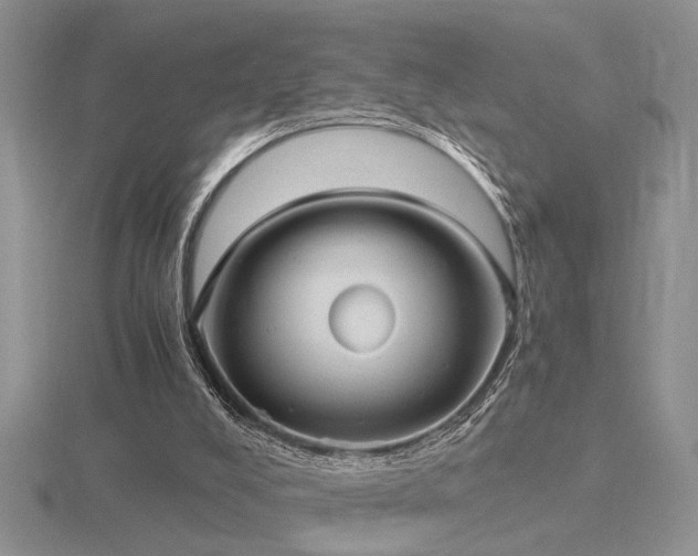 X0000116480008200912091410