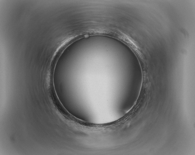 X0000116480012200912091410