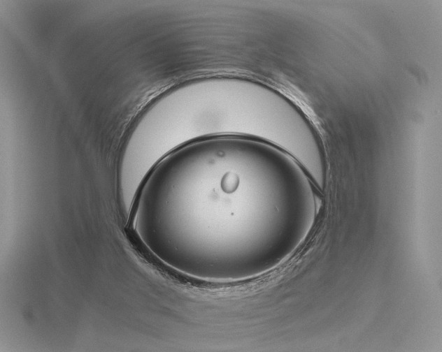 X0000116480013200912091410