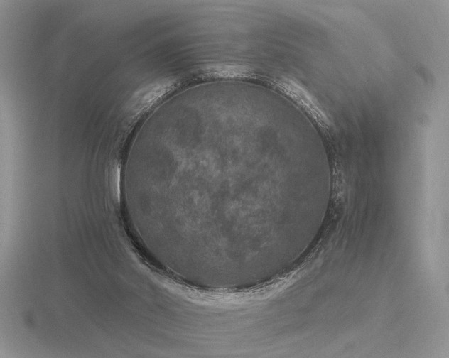 X0000116480014200912091410