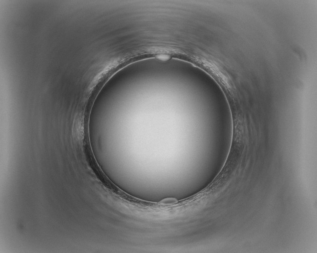 X0000116480015200912091410