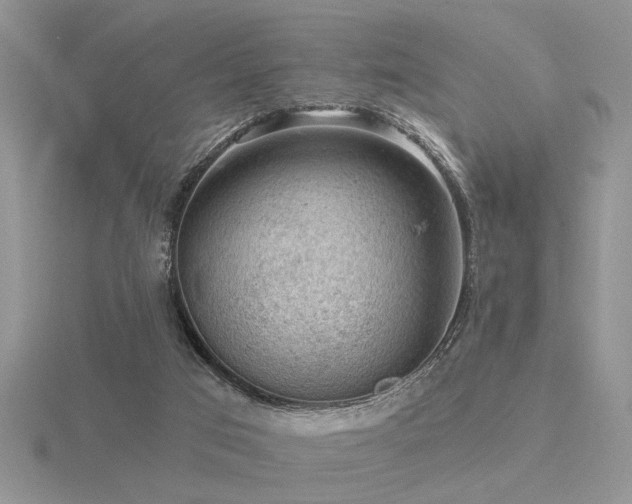 X0000116480017200912091409