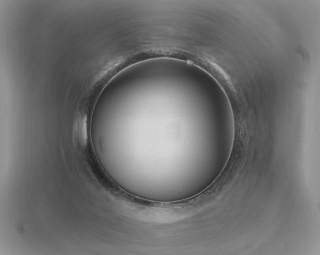 X0000116480020200912091409