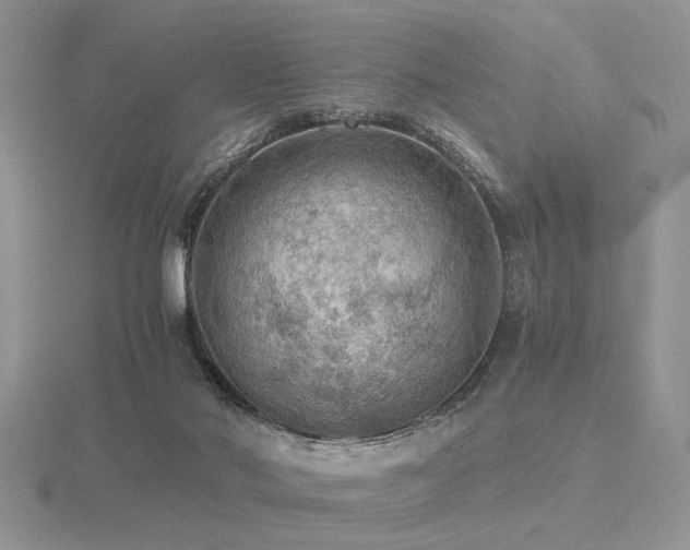 X0000116480022200912091409