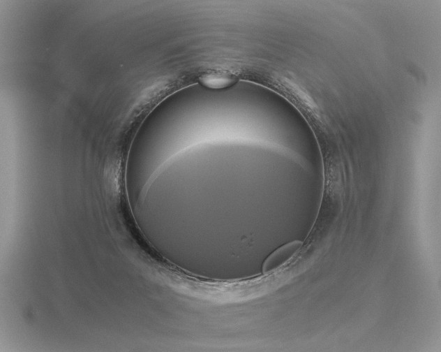 X0000116480023200912091409