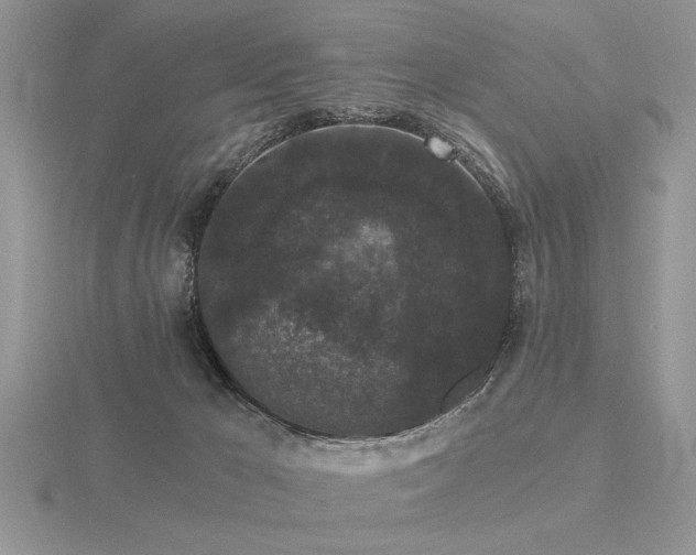 X0000116480029200912091409