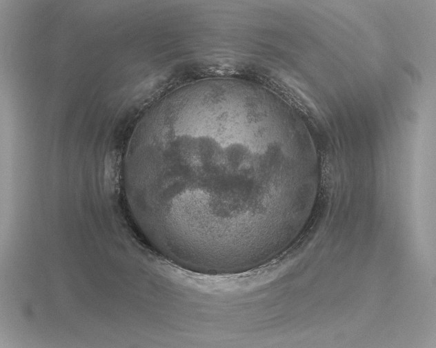 X0000116480030200912091409