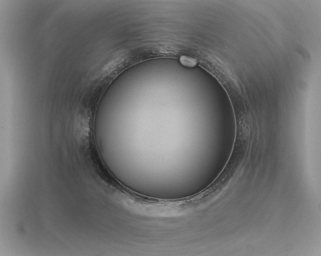 X0000116480032200912091409