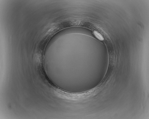 X0000116480035200912091409