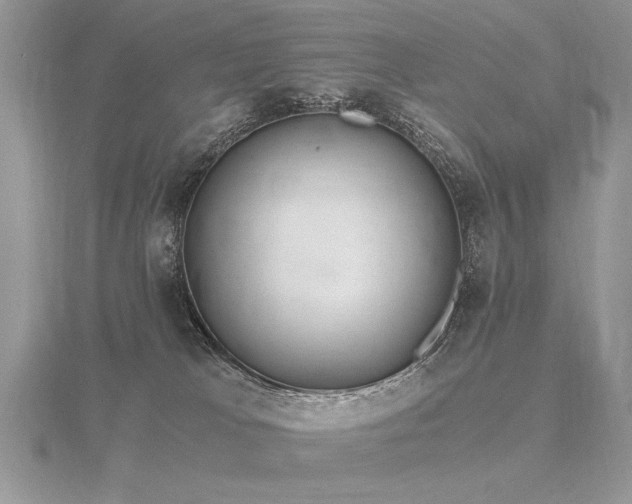 X0000116480037200912091409