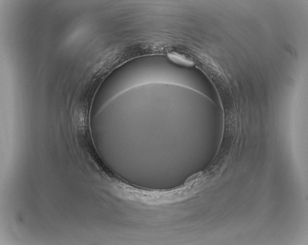 X0000116480039200912091409